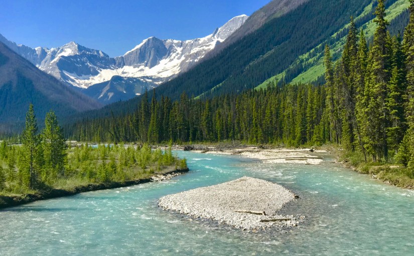 The Morning After​