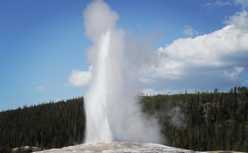 The Beauty of&nbsp;Creation